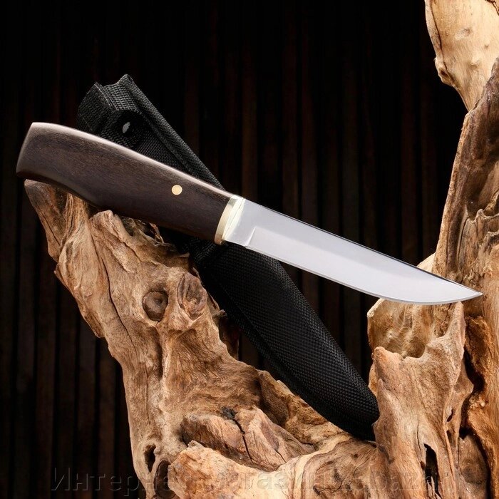 Нож охотничий "Йохан", рукоять дерево, лезвие 15 см от компании Интернет-магазин Zabazar - фото 1