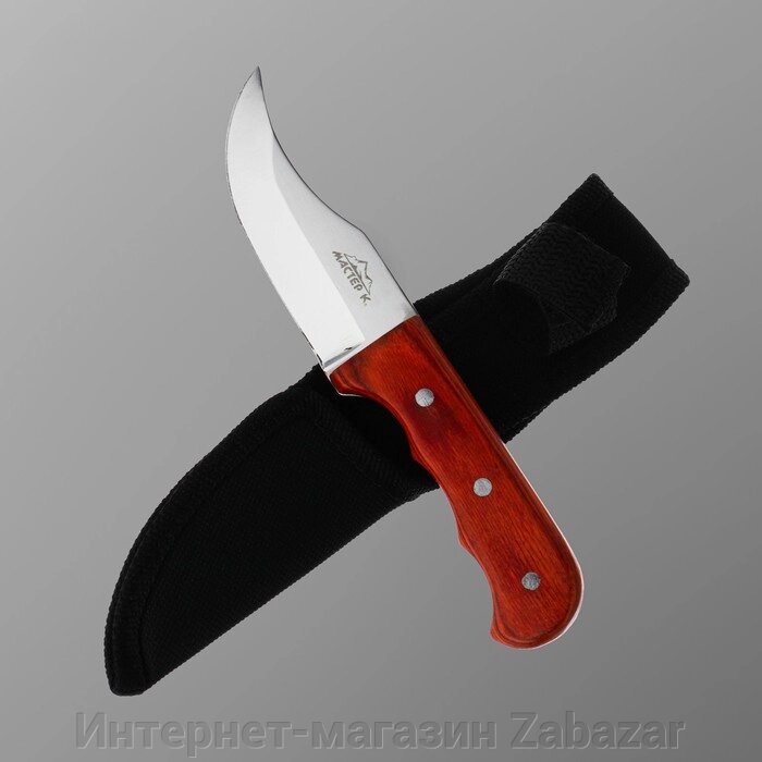 Нож туристический "Абсалон" 16 см, в чехле, деревянная рукоять с выемками от компании Интернет-магазин Zabazar - фото 1