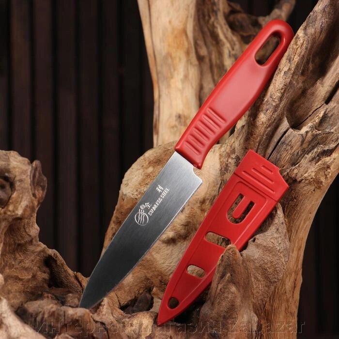 Нож туристический "Степь", в ножнах, лезвие 9,5 см, цвет микс от компании Интернет-магазин Zabazar - фото 1