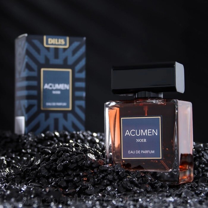 Парфюмерная вода мужская Acumen Noir, 100 мл от компании Интернет-магазин Zabazar - фото 1