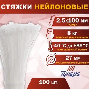 Хомут нейлоновый пластик ТУНДРА krep,  для стяжки, 2.5х100 мм, белый, в уп. 100 шт в Минске от компании Интернет-магазин Zabazar