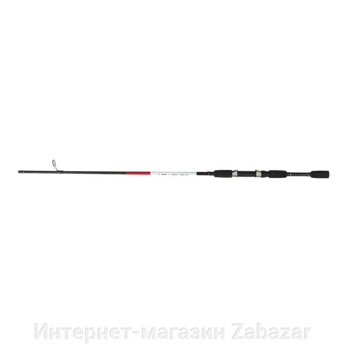 Спиннинг Salmo Blaster SPIN 20, тест 5-20 г, длина 2.1 м от компании Интернет-магазин Zabazar - фото 1