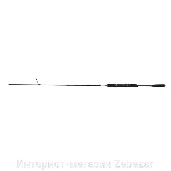 Спиннинг штекерный Akara Erion Jig TX-30, тест 3-12 г, длина 2.48 м от компании Интернет-магазин Zabazar - фото 1