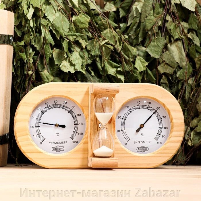 Термометр-гигрометр от компании Интернет-магазин Zabazar - фото 1