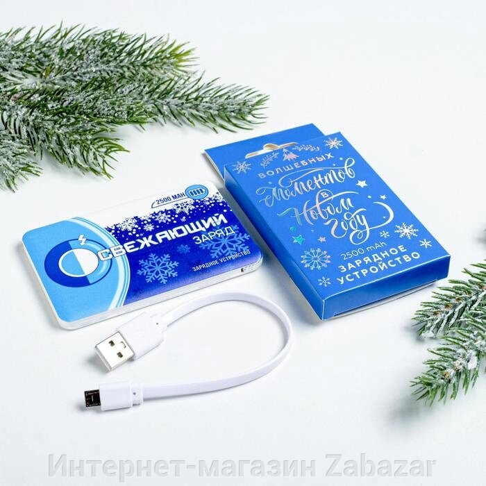 Зарядное устройство «Освежающий заряд», 2500 mAh от компании Интернет-магазин Zabazar - фото 1