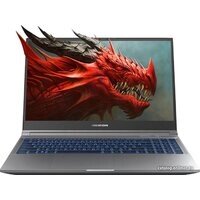 Игровой ноутбук Mechrevo 635F1 FGM-GM5RGEE0056202