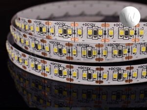 Светодиодная лента SMD 2025 204LED 24W 12V IP20(33) белый холодный